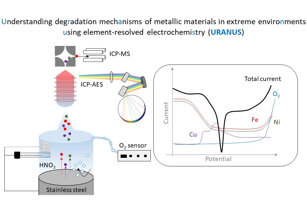  Une ERC Starting Grant pour Junsoo Han, membre du PEPR DIADEM 